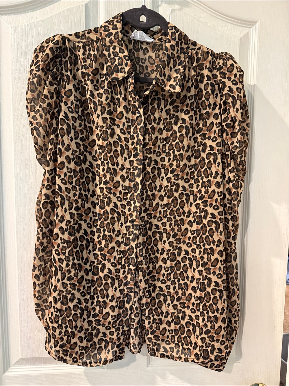 First Love Leopard Print Button-Down Blouse in Tan and Black